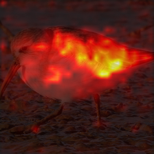 1362_8_attn.png