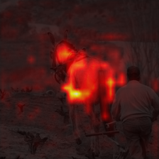 1365_4_attn.png