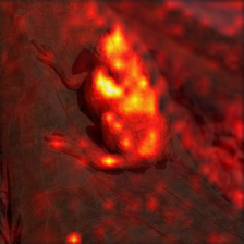 1365_8_attn.png