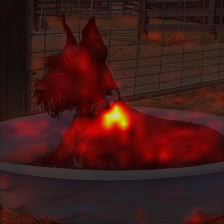 1366_2_attn.png