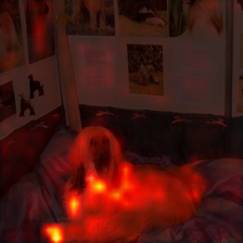 1368_0_attn.png
