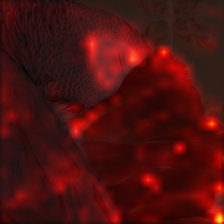 1368_3_attn.png