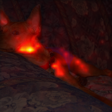 1369_1_attn.png