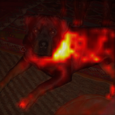 1369_5_attn.png