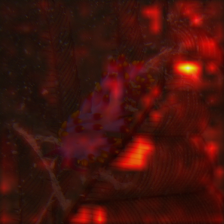 1369_6_attn.png
