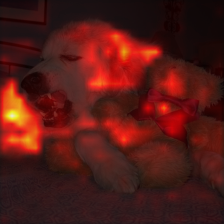 1369_8_attn.png