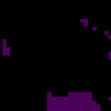 1369_8_seg.png