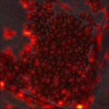 1370_6_attn.png