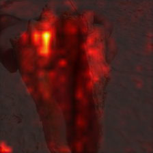 1371_2_attn.png