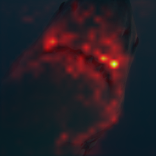 1375_0_attn.png