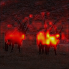 1375_8_attn.png