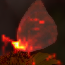 1377_9_attn.png