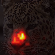 1383_2_attn.png