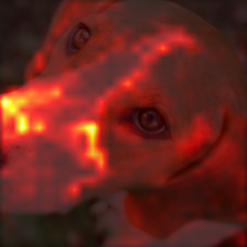 1383_6_attn.png