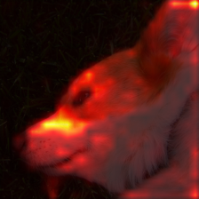 1383_8_attn.png