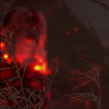 1385_4_attn.png