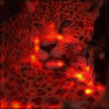 1388_0_attn.png