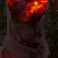 1389_5_attn.png
