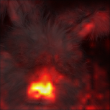 1389_7_attn.png