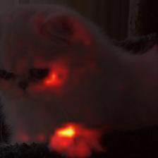 1389_8_attn.png