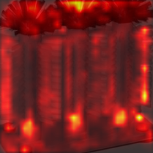 1396_2_attn.png