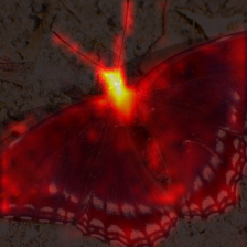 1397_3_attn.png