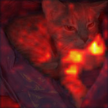 1398_8_attn.png