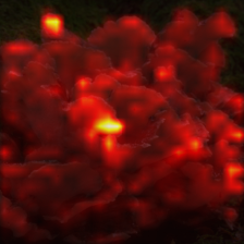 1409_3_attn.png