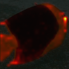 1409_8_attn.png