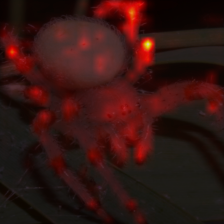 1411_9_attn.png