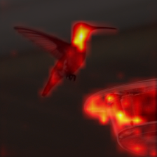 1416_4_attn.png