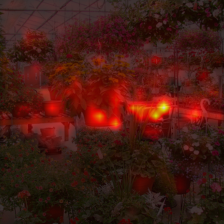 1417_2_attn.png