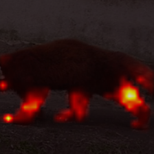 141_6_attn.png