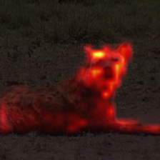 141_7_attn.png