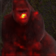 141_8_attn.png