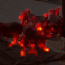 142_3_attn.png