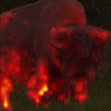 142_5_attn.png