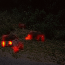 142_7_attn.png