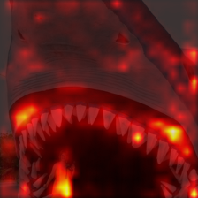 1430_1_attn.png