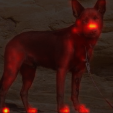 1445_2_attn.png