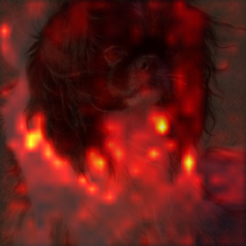 144_0_attn.png