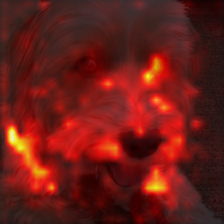 144_1_attn.png