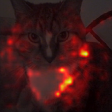 144_6_attn.png