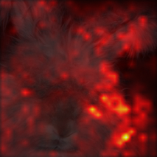 144_7_attn.png