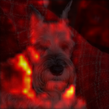 144_9_attn.png