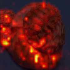1454_8_attn.png