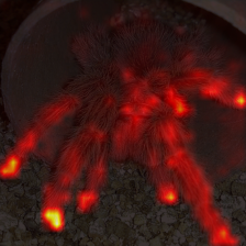 1459_0_attn.png