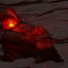 1468_1_attn.png