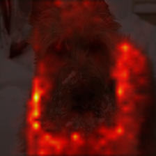 1468_2_attn.png