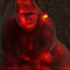 1481_8_attn.png